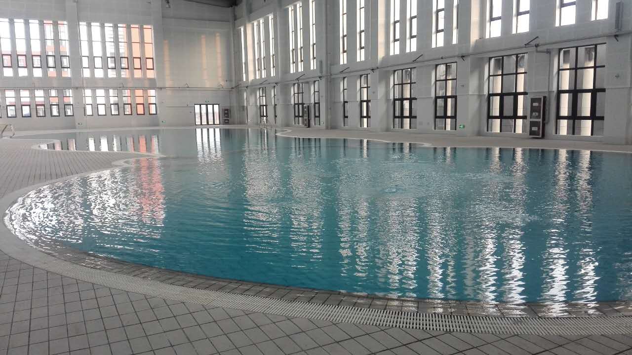 衡水枣强县体育中心泳池项目-钢结构、游泳池